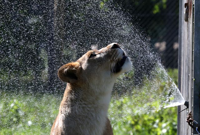 Summer weather June 27th 2019