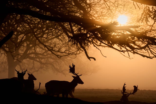 Spring weather March 5th 2026