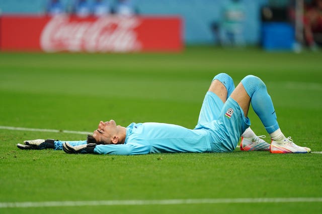 Iran goalkeeper Ali Beiranvand after suffering a collision (Mike Egerton/PA).