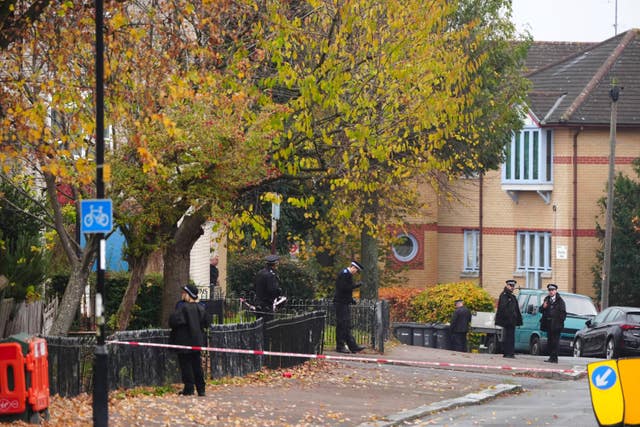 Sydenham shooting scene