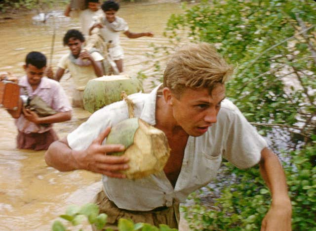 David Attenborough at 100 – bringing wonder to millions | Great ...