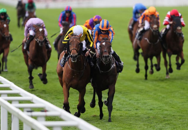 Big Orange (left) saw off Order Of St George in a thrilling Gold Cup at Ascot