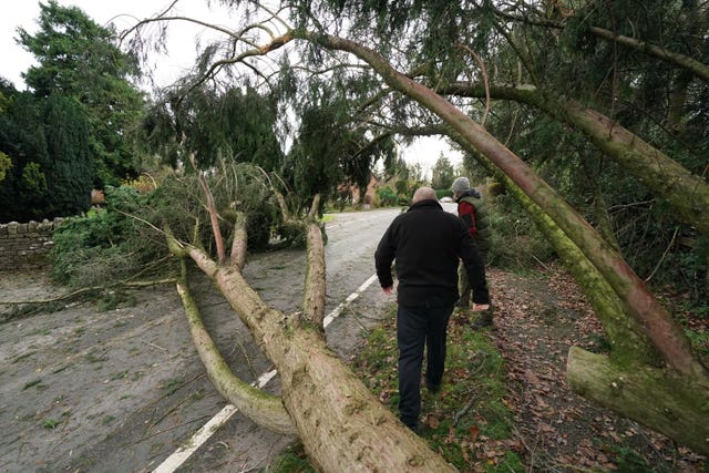 A fallen tree across a pavement and road