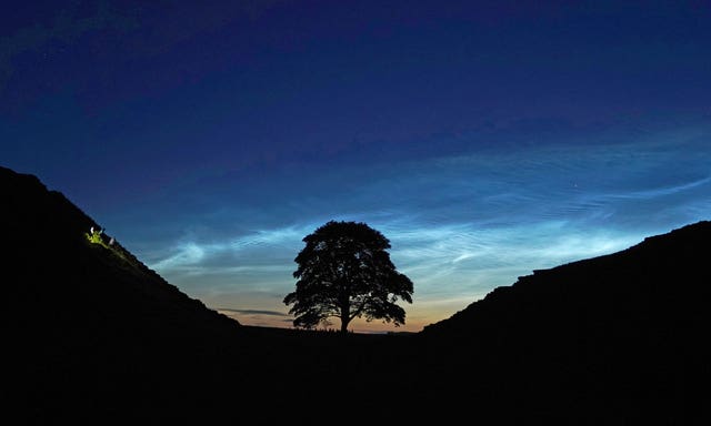 Sycamore Gap