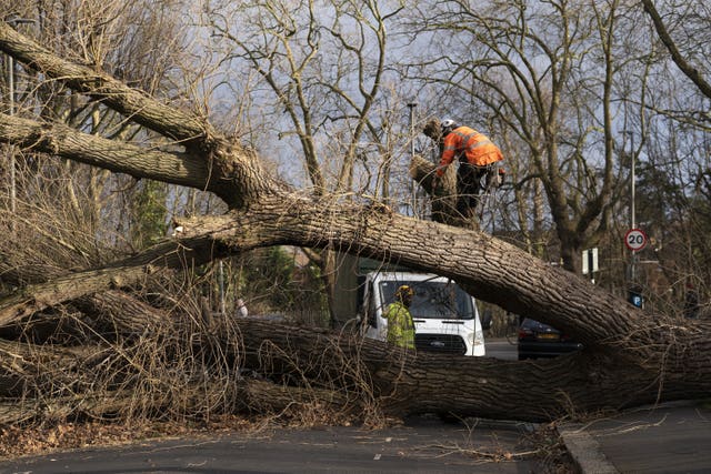 Tree surgeons work to clear a fallen tree in Spencer Park, Battersea