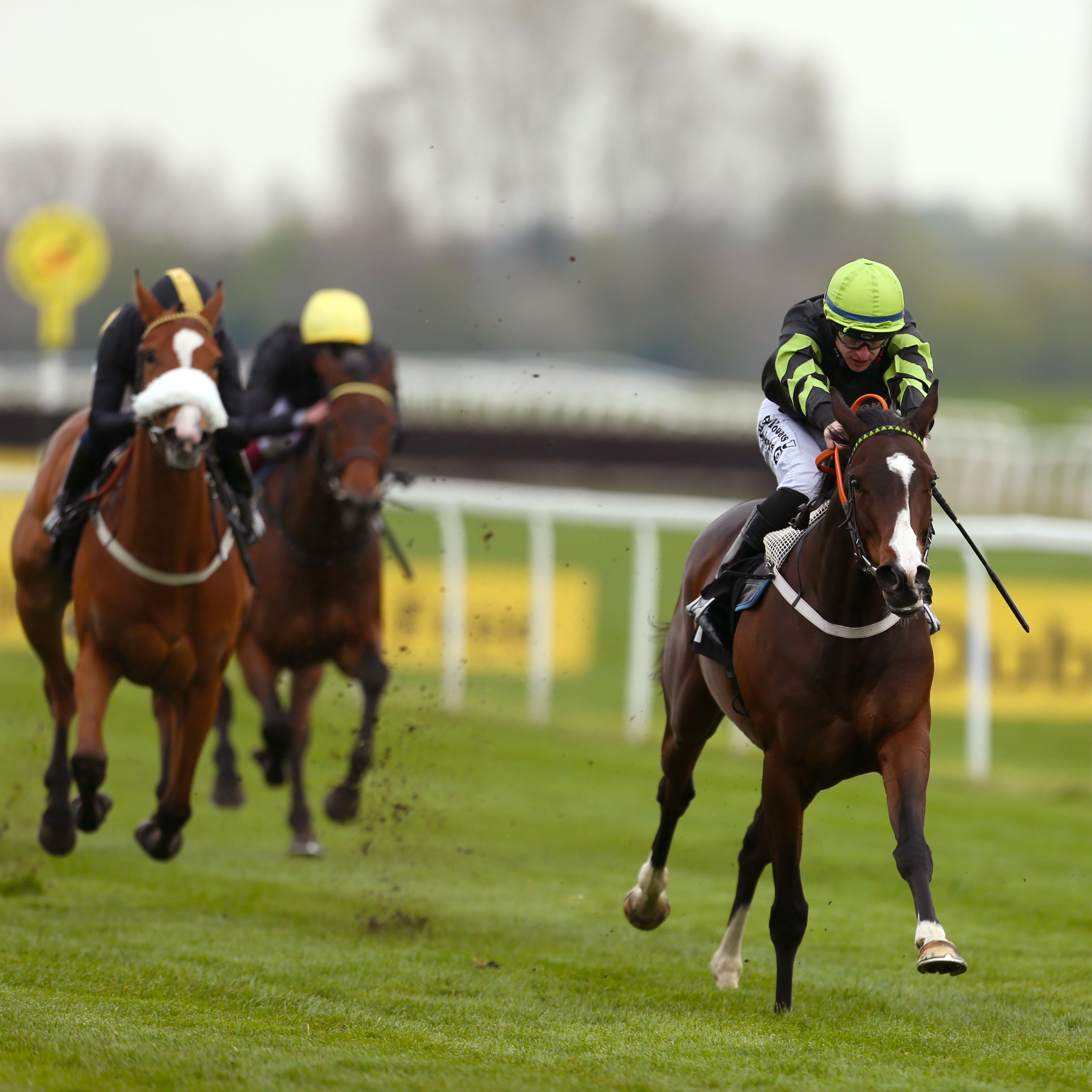 Katiesheidinlisa was impressive at Newbury