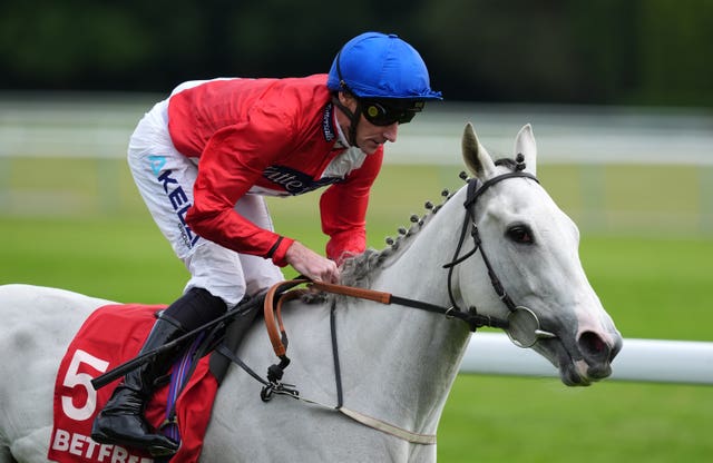 Estrange was an impressive winner at Haydock 