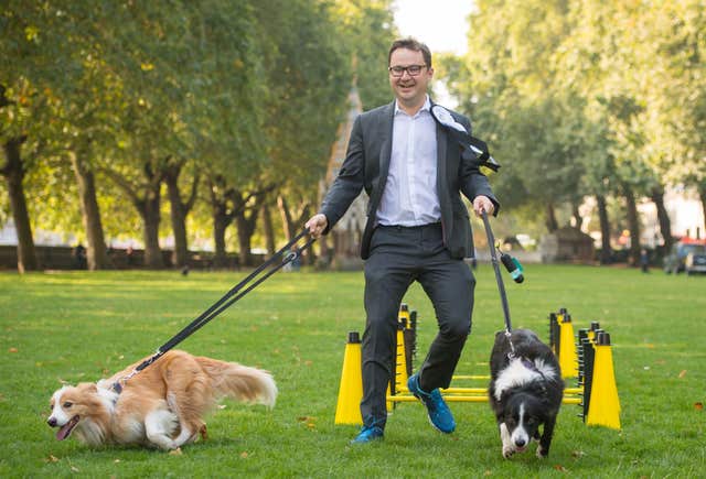 Dogs Boomer, left, and Corona, with MP Alex Norris