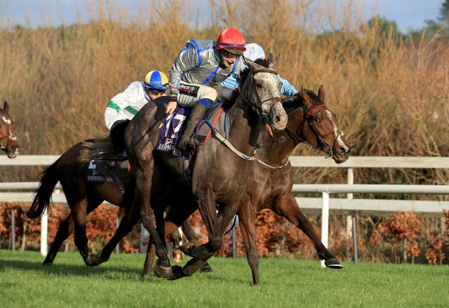 Panda Boy, here winning over hurdles at Leopardstown, will return to the Dublin track in February for a run over fences