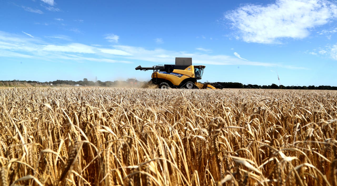 Australia To Ask WTO For Help In Barley Row With China