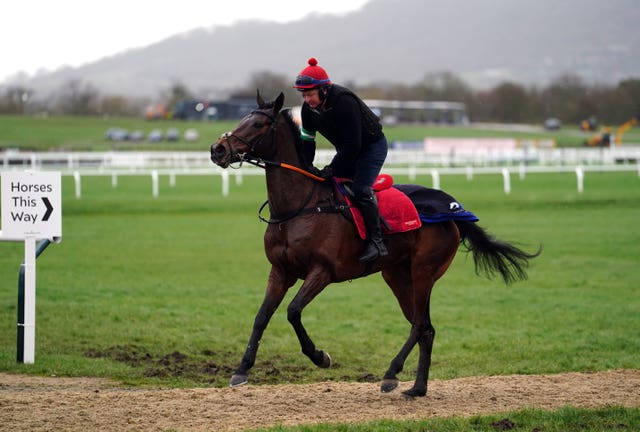 Patrick Neville aboard The Real Whacker on the gallops at Cheltenham 