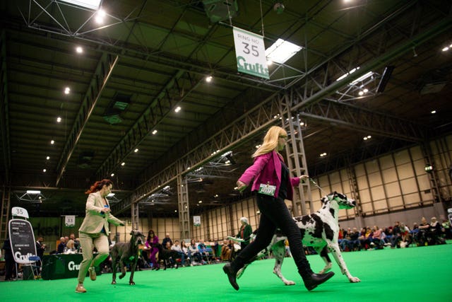 Crufts Dog Show – Day Three