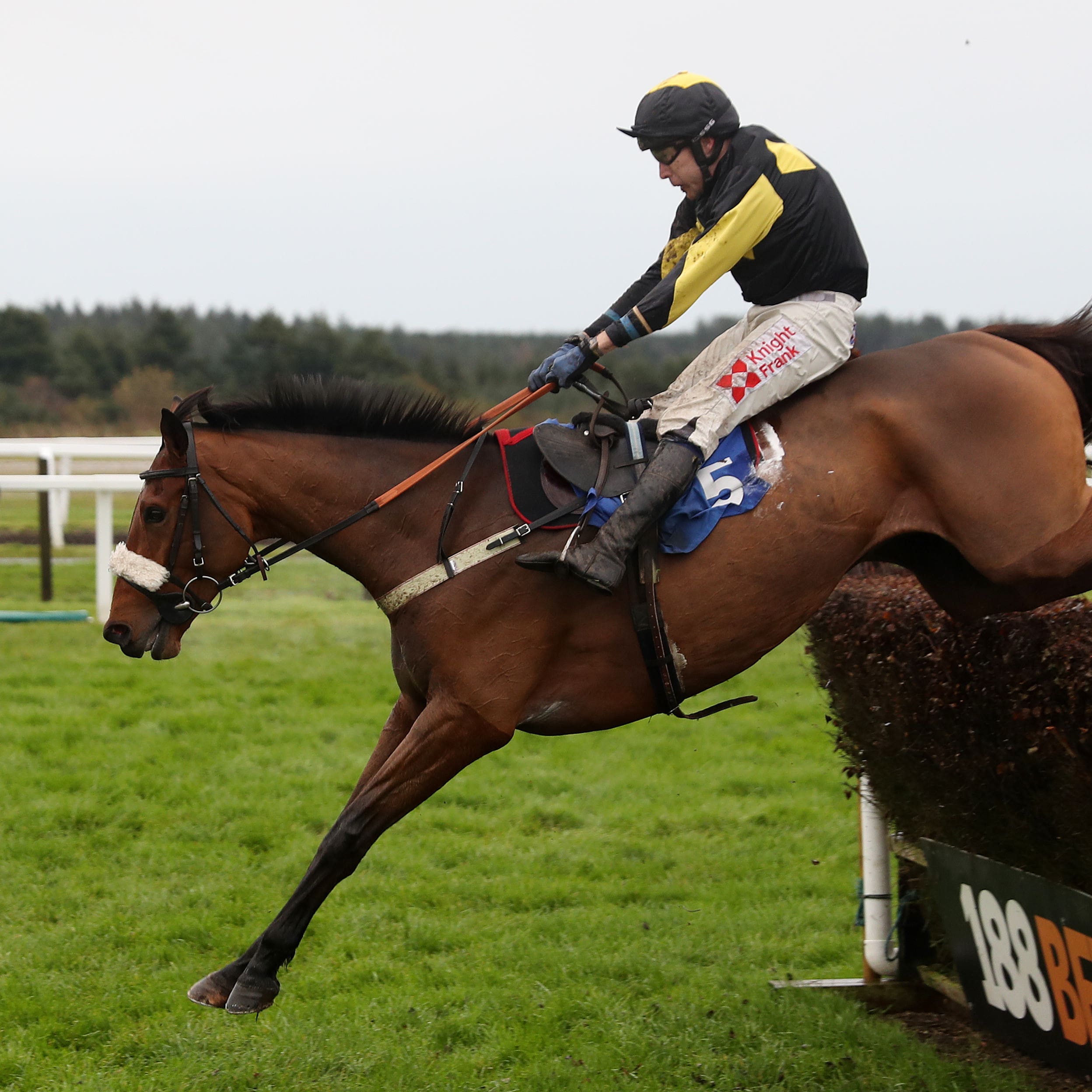Elegant Escape, seen winning at Exeter
