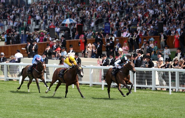 Twilight Gleaming (left) was beaten by Quick Suzy at Ascot in 2021