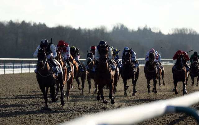 Obsidian Knight ridden by Tom Marquand wins the Huge Daily Boosts Only At BetUK Handicap at Lingfield Park Racecourse