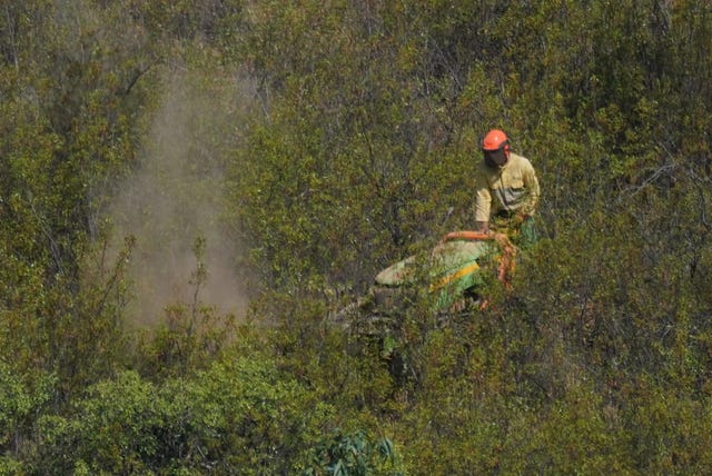 Personnel clear undergrowth near a reservoir in the Algave