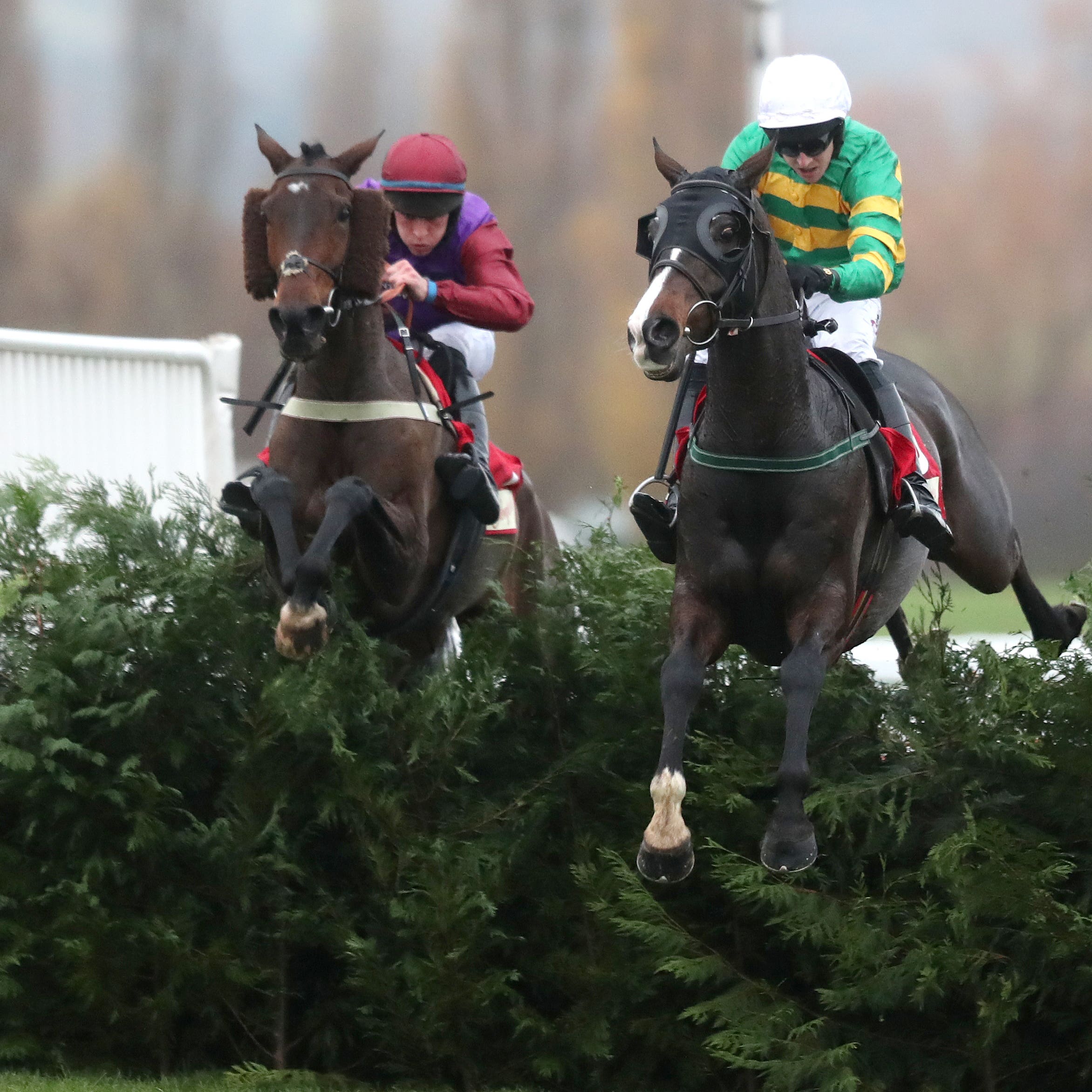 Fact Of The Matter (left) is no stranger to the Cheltenham cross country fences