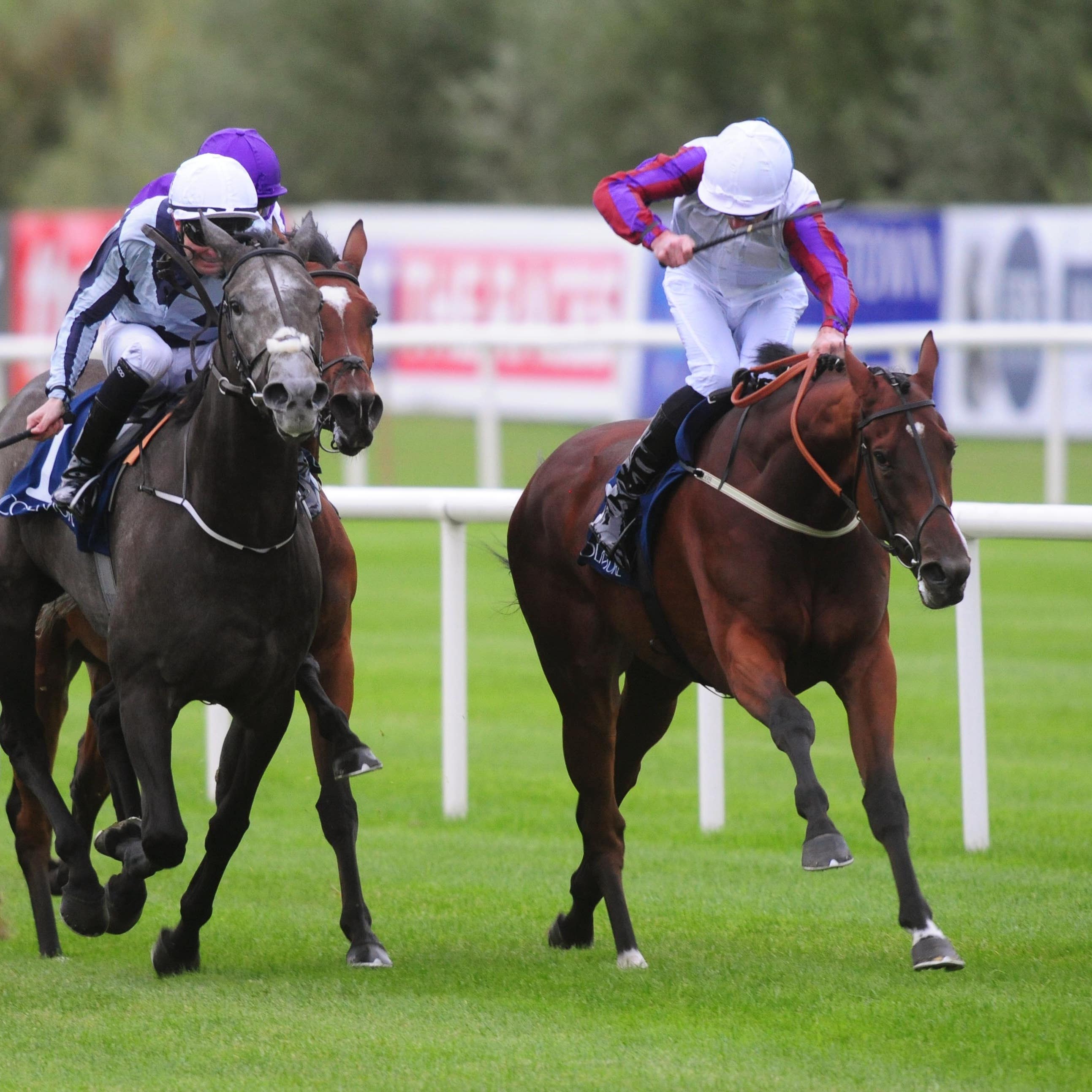 Laurens sticks her head down to bravely see off Alpha Centauri at Leopardstown