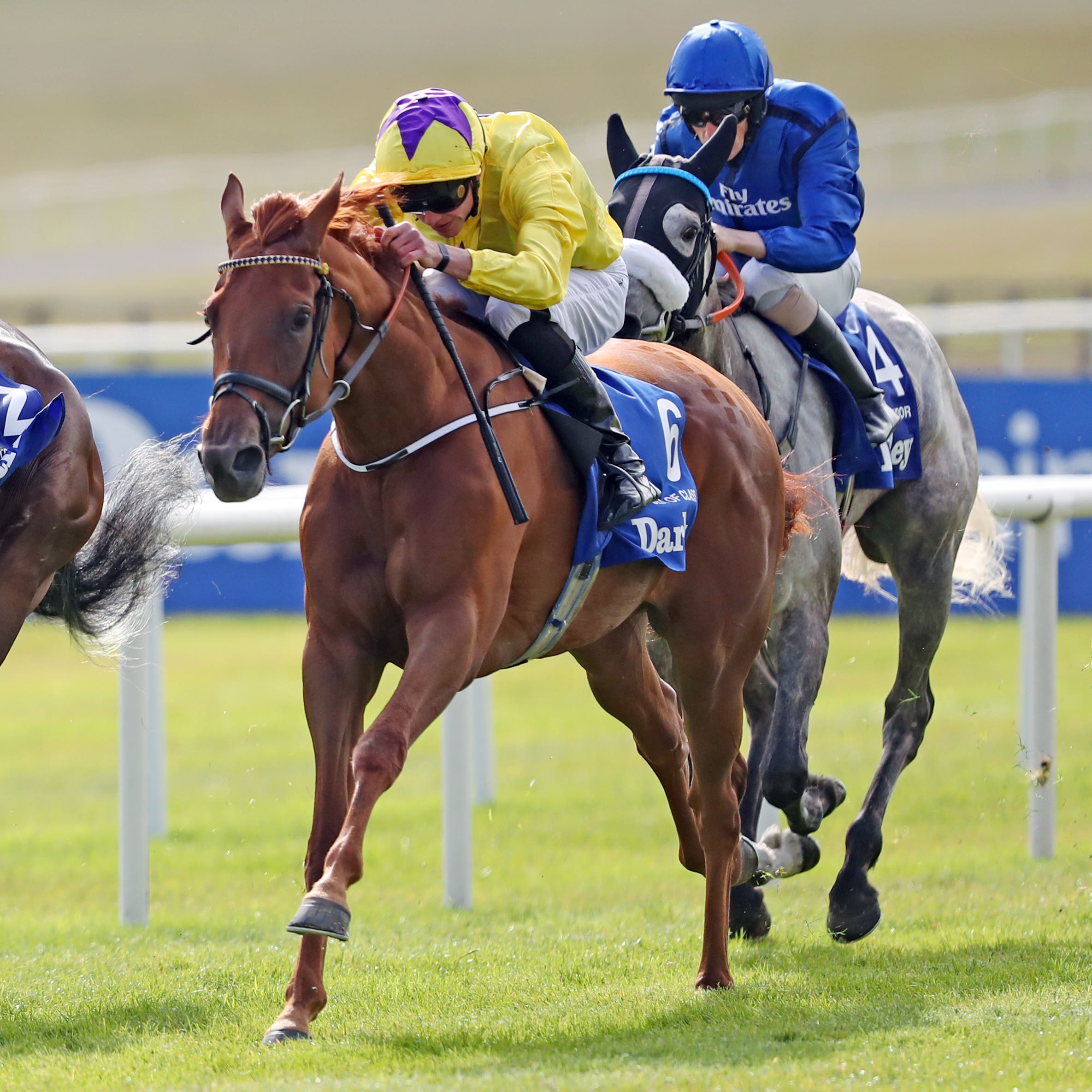 Mary Tudor (grey) ran a blinder in the Irish Oaks