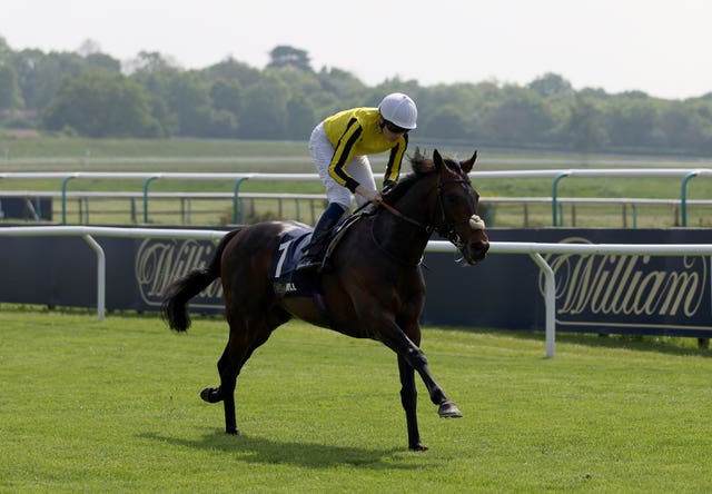 Ambiente Friendly was a cosy winner of the Lingfield Derby Trial