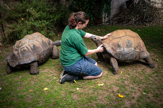 Bristol Zoo Gardens closure