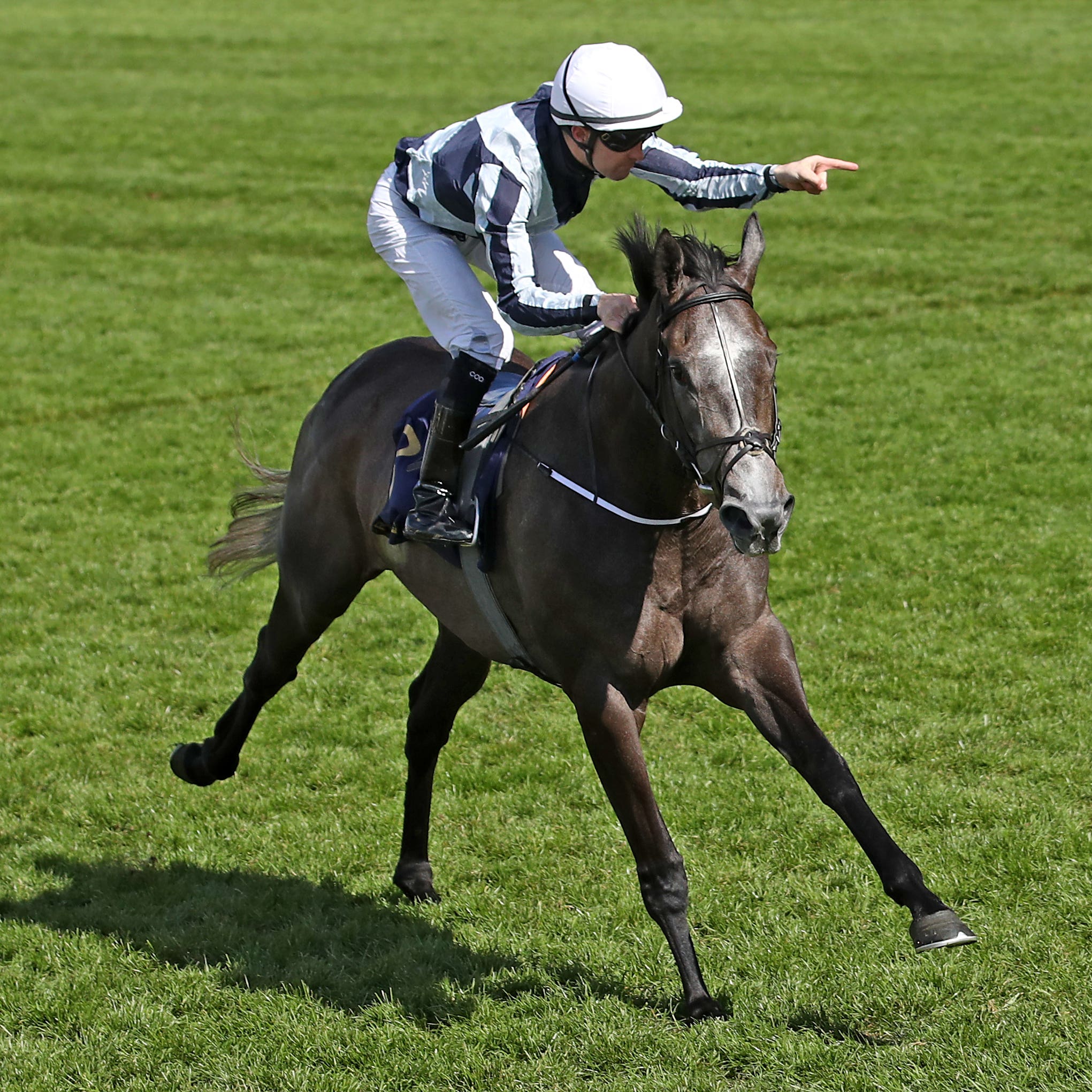 Alpha Centauri wins the Coronation Stakes at Royal Ascot