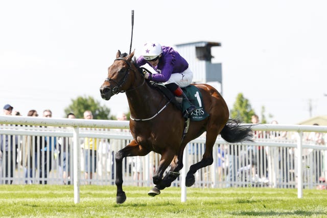 Bucanero Fuerte was a Group One winner at two