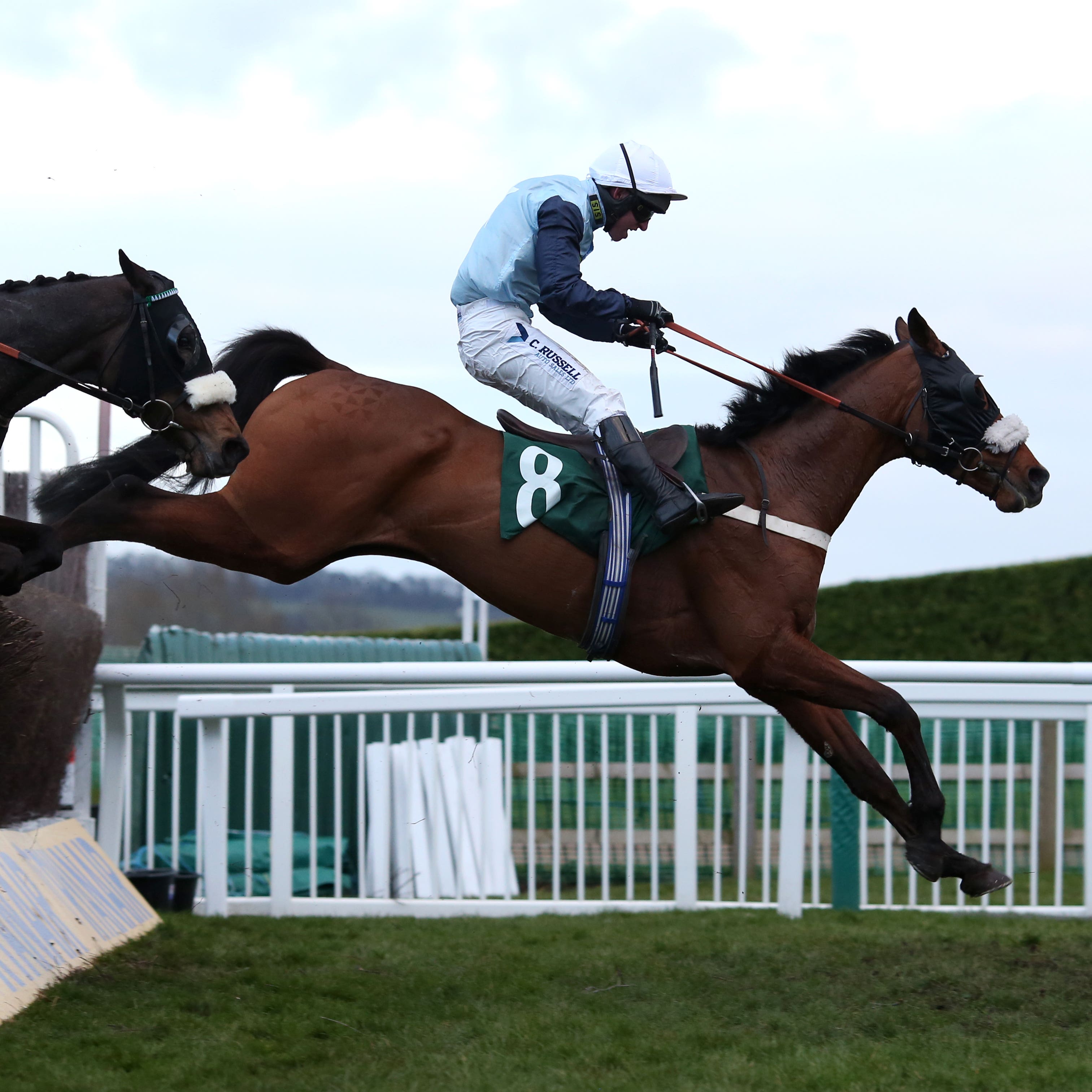 Missed Approach was a Cheltenham Festival winner last year