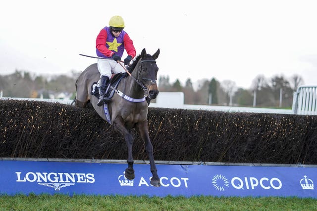 Dashel Drasher could return to his beloved Ascot to complete his Cheltenham Festival preparations