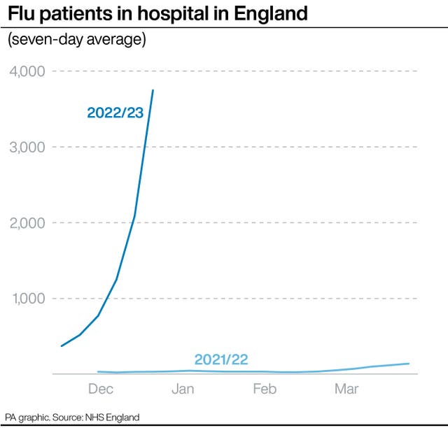 HEALTH Flu