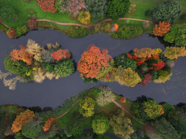 Kew Gardens’ autumn colour