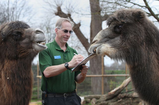 ZSL London Zoo annual stocktake