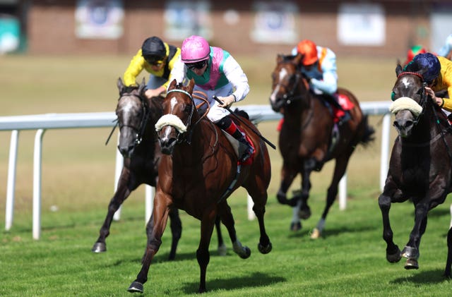 Kassaya (centre) was an impressive winner on her return at Sandown