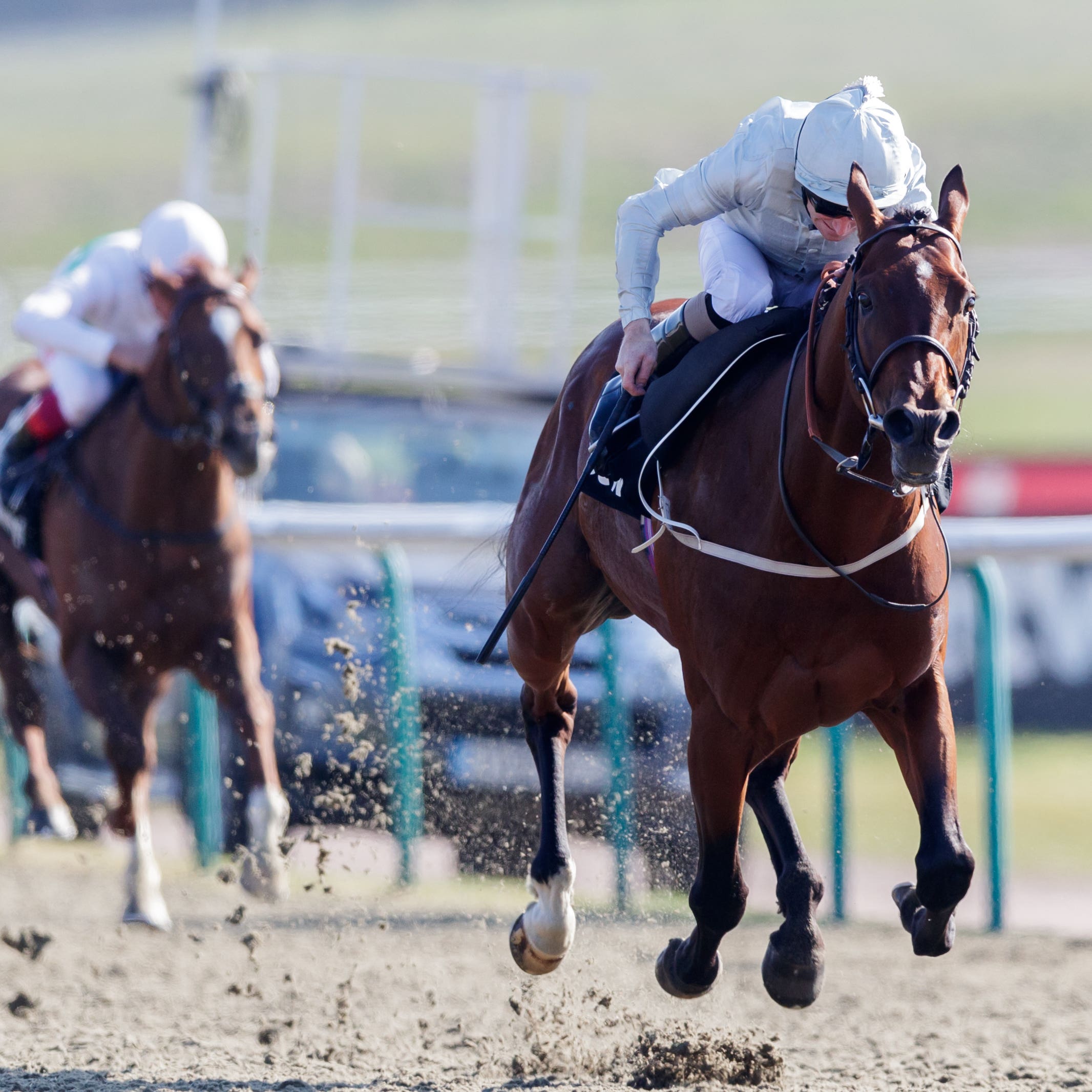 Matterhorn seals an impressive victory in the Betway Easter Classic at Lingfield