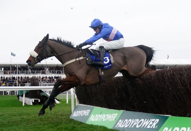 New Years Day Racing – Cheltenham Racecourse