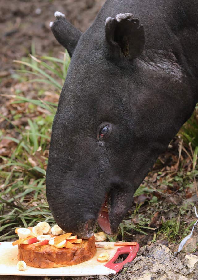 ingut’s 40th birthday (Gareth Fuller/PA)