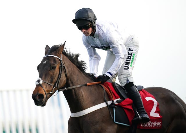 Constitution Hill looked as good as ever at Kempton