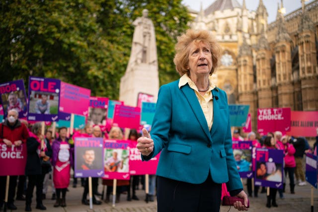 Baroness Meacher joins demonstrators outside the Houses of Parliament in London to call for reform (Dominic Lipinski/PA)