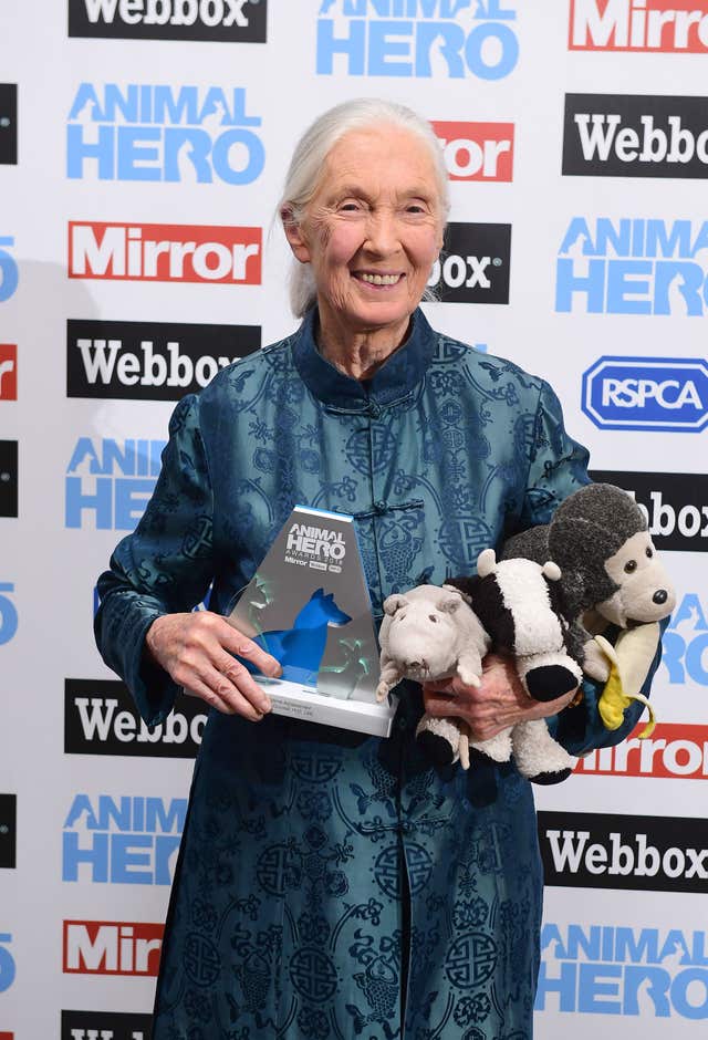 The Animal Hero Awards 2018 – London
