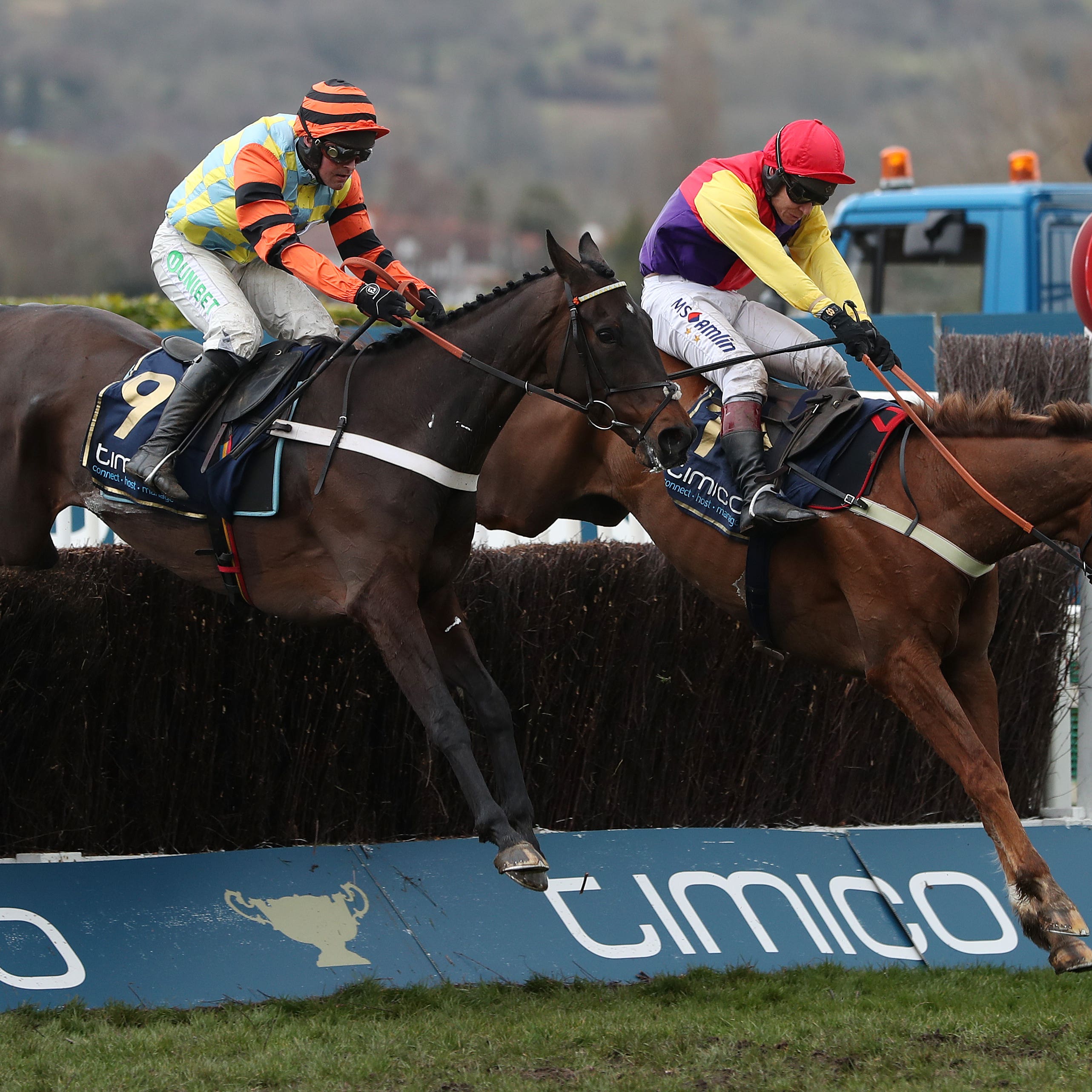 Native River and Might Bite clear the last together in last year's Gold Cup