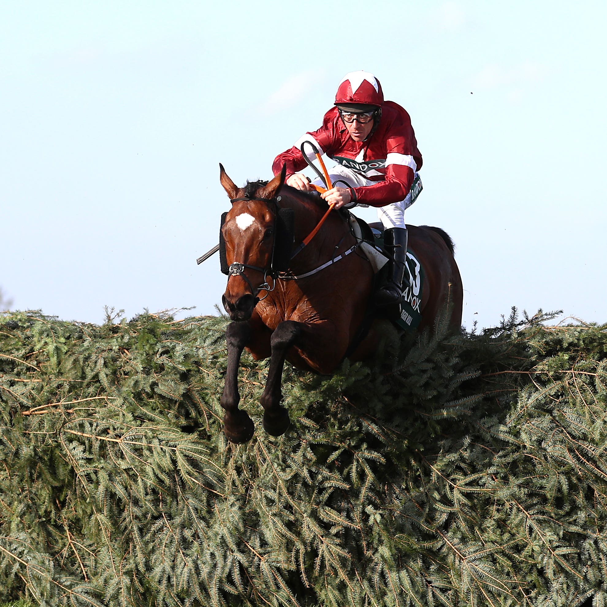 Tiger Roll is building towards a second crack at the Grand National