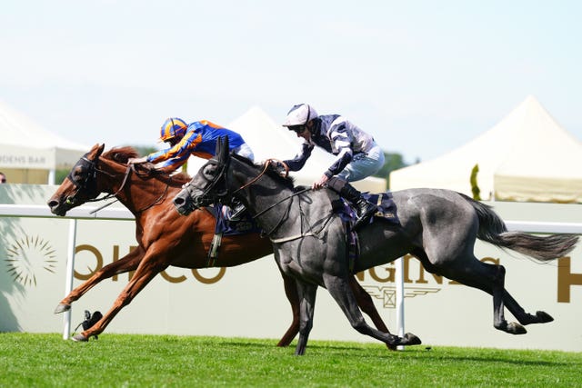 Port Fairy (left) and Lava Stream will lock horns again at the Curragh 