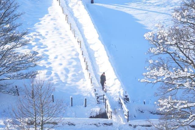 A dog walker makes his way through snow