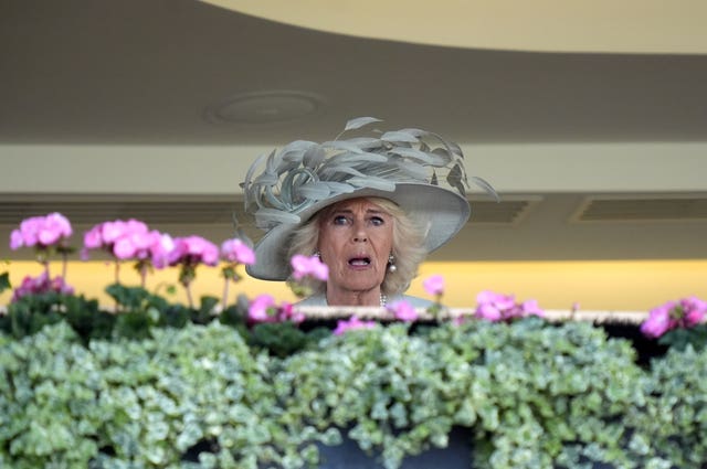Queen Camilla watches the Ascot Stakes