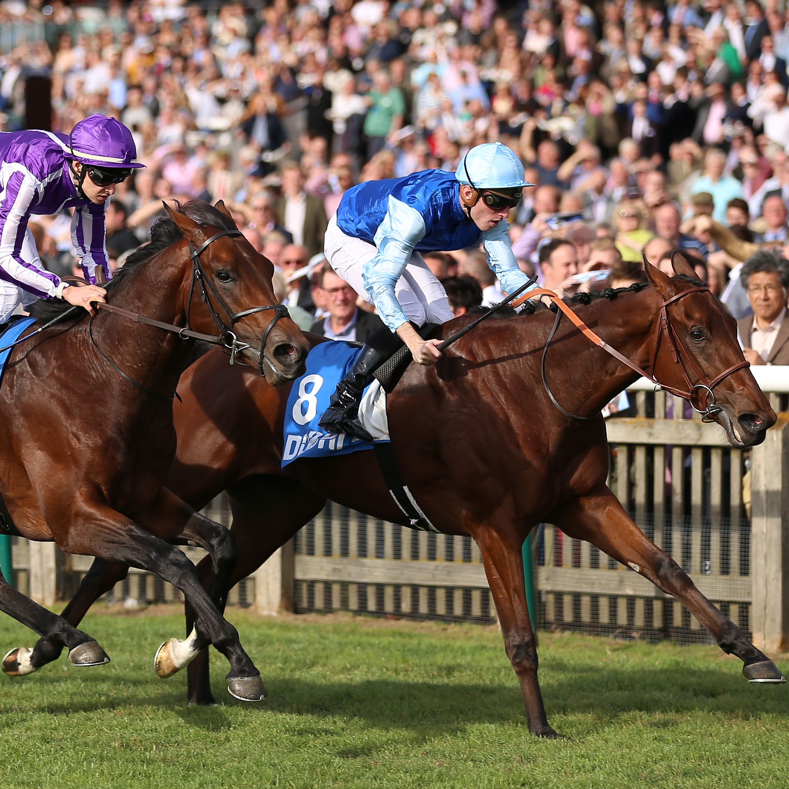 Persian King (far side) wins the Autumn Stakes