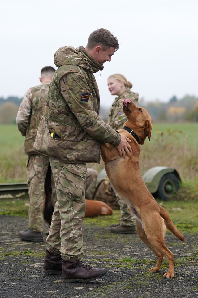 Military Working Dogs