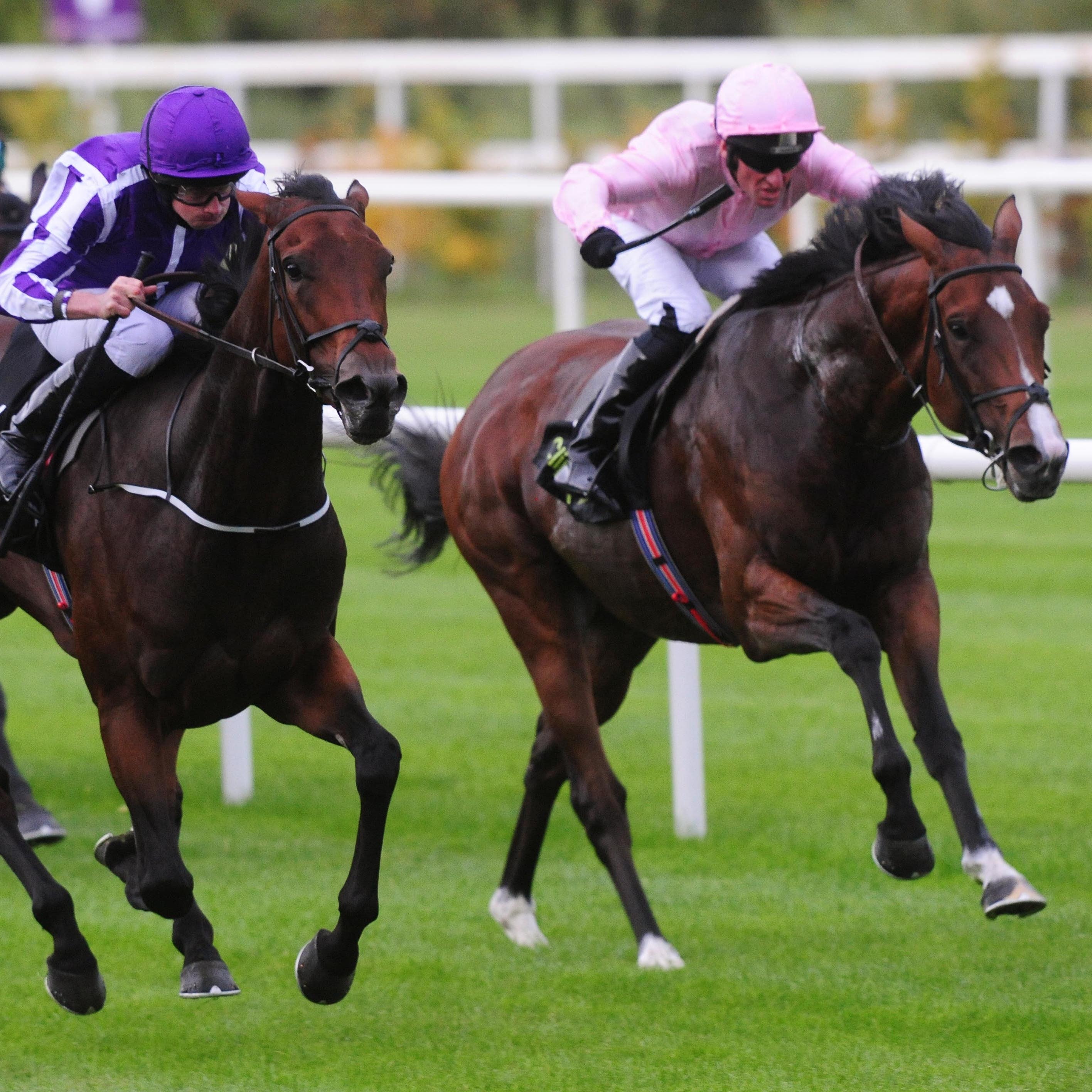 Kenya (right) finishes second to stablemate I Can Fly at Leopardstown