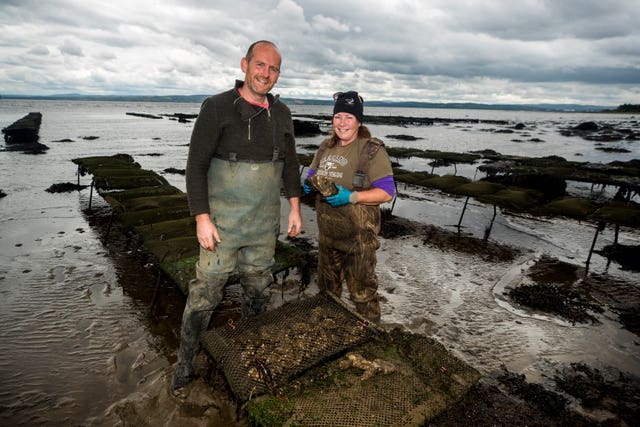 Ciaran Gallagher and Maureen Nolan work on their oyster farm, close to Quigley’s Point on Lough Foyle