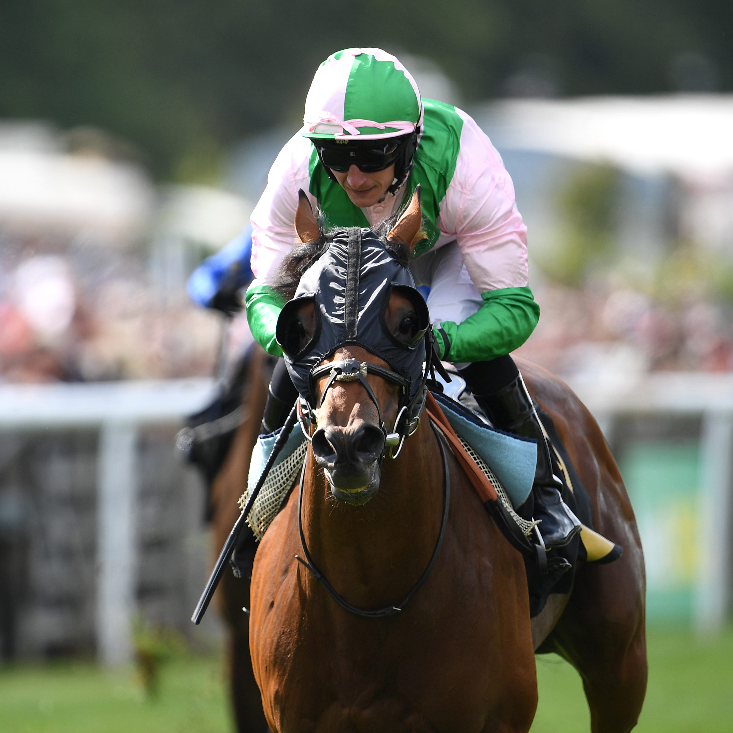 Duke Of Hazzard triumphed at Newmarket