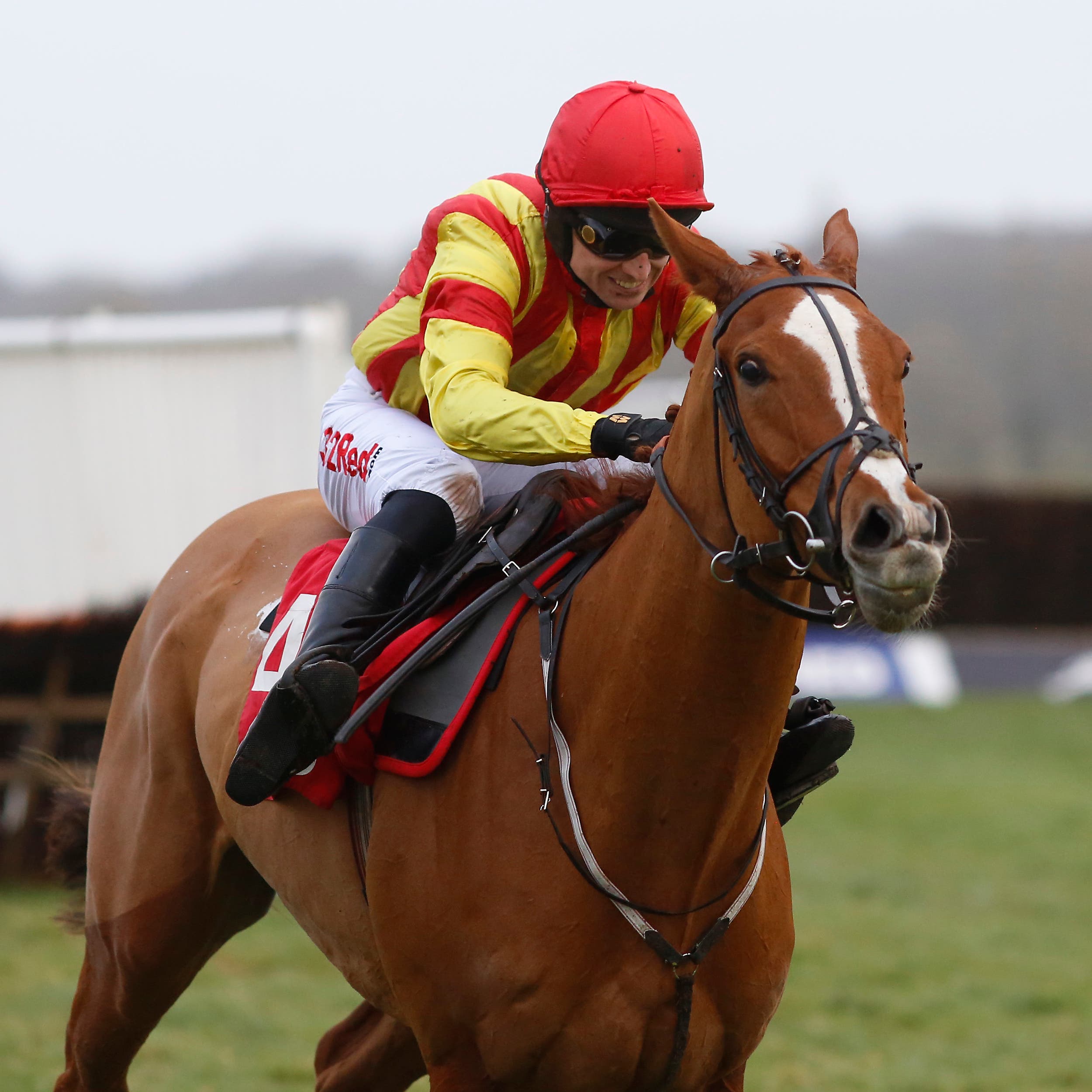 Poetic Rhythm won the Challow Hurdle last year